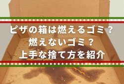 ピザの箱は燃えるゴミ？燃えないゴミ？上手な捨て方をご紹介します【分別方法】