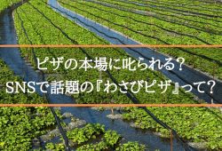 ピザの本場に叱られる？SNSで話題の『わさびピザ』って？