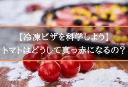 今密かなトレンドのピザ！マリナーラとは？気になるその詳細を見てみよう！