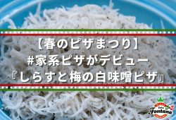 【春のピザまつり】#家系ピザがデビュー『しらすと梅の白味噌ピザ』